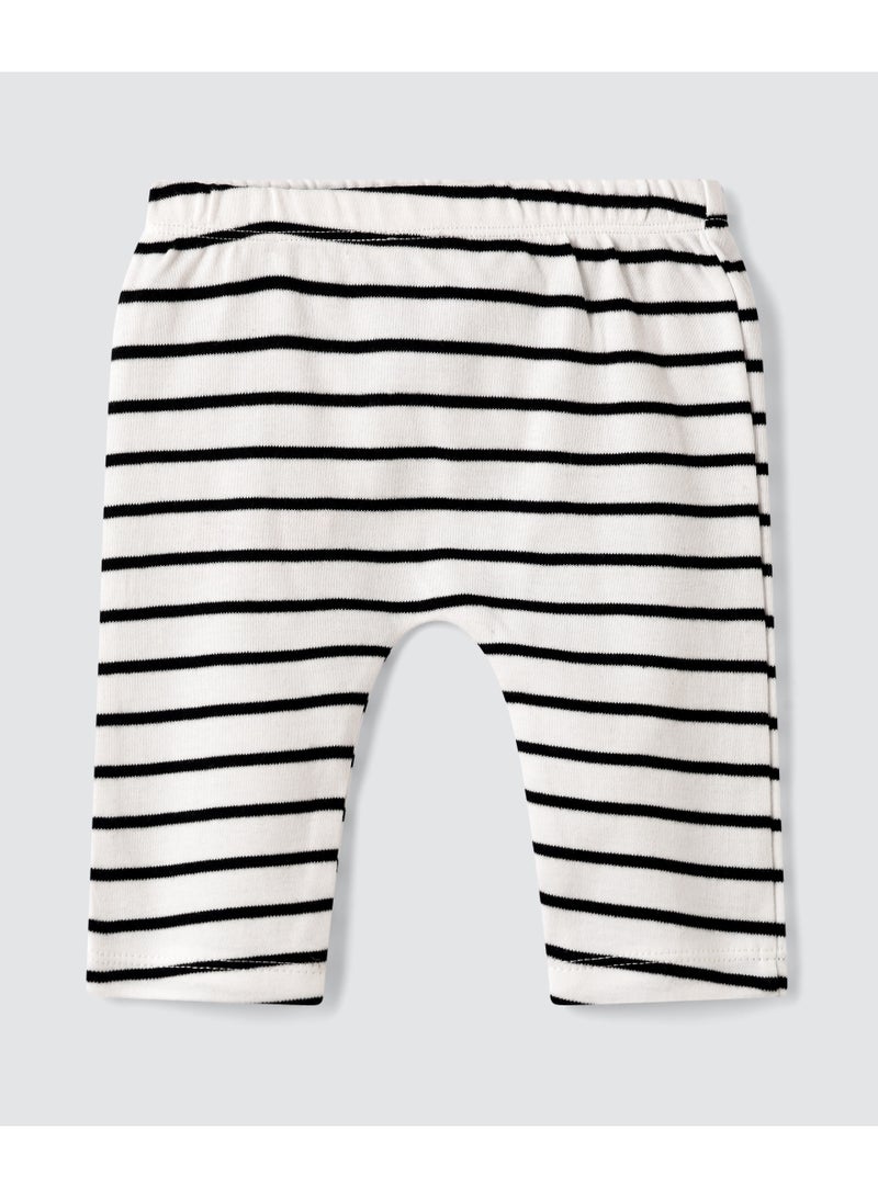 Tiny Hug BABY BOYS JOG PANTS - Image 3